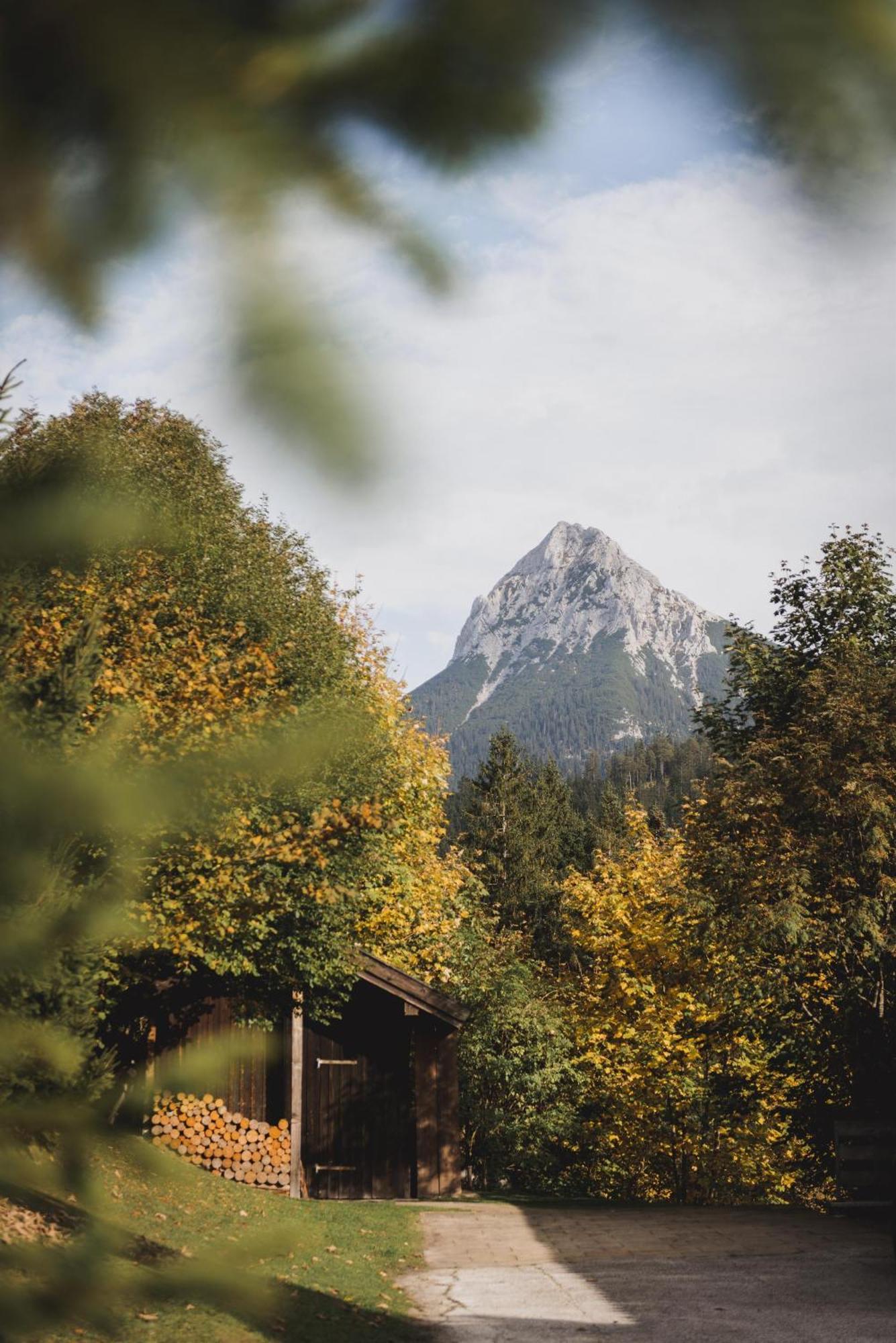 Ferienwohnung Waldgarten Leiten ภายนอก รูปภาพ